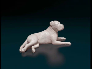 American Pit bull 010 3D Print Model