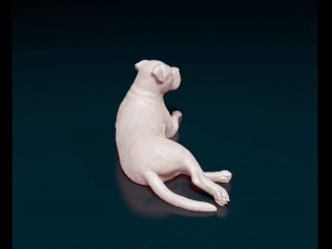 American Pit bull 010 3D Baskı Modeli