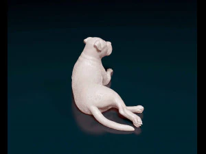 American Pit bull 010 3D Print Model