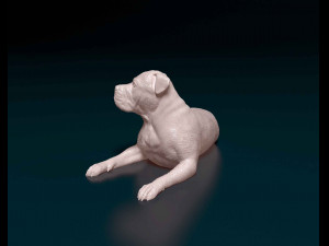 American Pit bull 010 3D Baskı Modeli