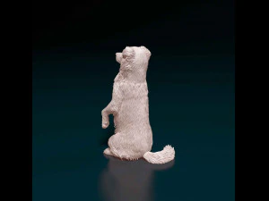 Australian Kelpie 3D Print Model