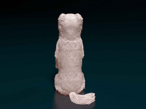 Australian Kelpie Modelo de Impressão 3D