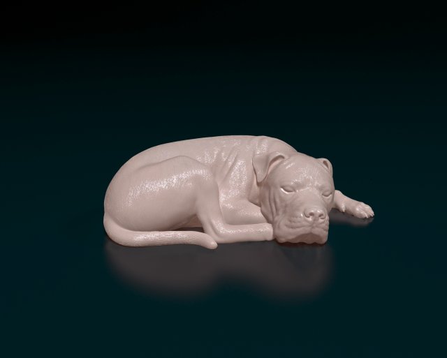American Pitbull 011 3D Принт Модель .c4d .max .obj .3ds .fbx .stl .blend