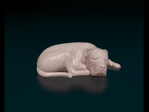 American Pitbull 011 3D Print Model