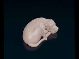 American Pitbull 011 3D Print Model