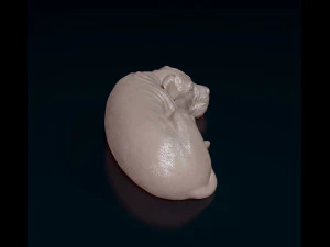 American Pitbull 011 3D Print Model