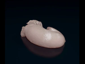 American Pitbull 011 3D Print Model