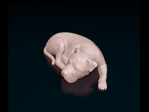 American Pitbull 011 3D Принт Модель