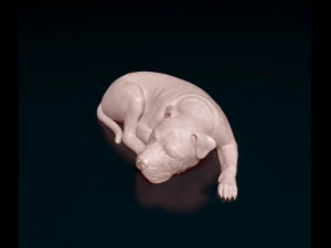 American Pitbull 011 3D Print Model