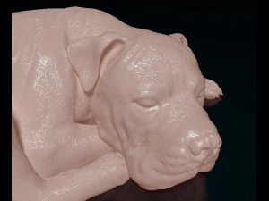 American Pitbull 011 3D Print Model