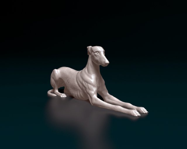 Greyhound 3D 프린트 모델 .c4d .max .obj .3ds .fbx .stl .blend 