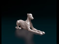 Greyhound 3D प्रिंट मॉडल