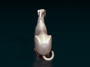 Greyhound 3D 프린트 모델