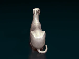 Greyhound 3D Print Model