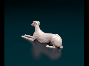 Greyhound 3D 프린트 모델