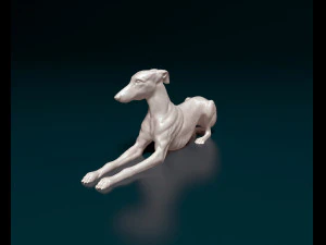 Greyhound 3D Print Model