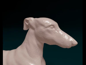 Greyhound 3D Print Model