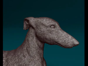 Greyhound 3D Print Model