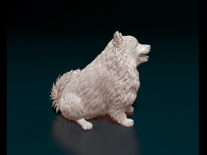 Japanese Spitz 3D-printmodel