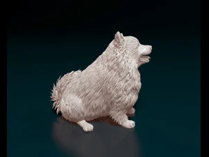 Japanese Spitz 3D Print Model