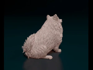 Japanese Spitz 3D Print Model
