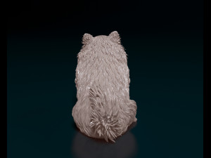 Japanese Spitz 3D-printmodel