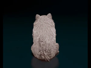 Japanese Spitz 3D Print Model