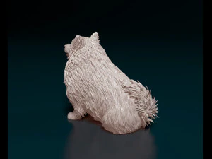 Japanese Spitz 3D Print Model