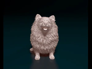 Japanese Spitz 3D Print Model
