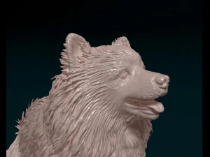 Japanese Spitz 3D Print Model