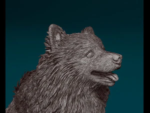 Japanese Spitz 3D Print Model