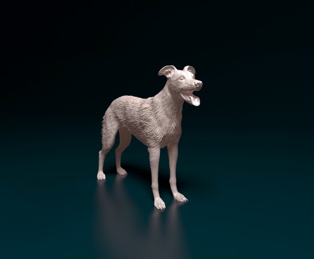Greyhound wirehired Model do druku 3D .c4d .max .obj .3ds .fbx .stl .blend 