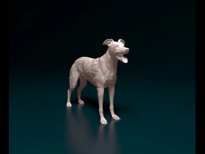 Greyhound contratado Modelo de Impressão 3D