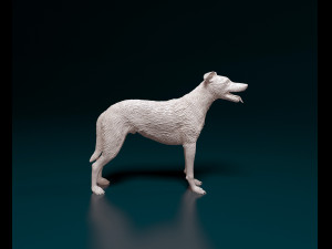 Greyhound wirehired Model do druku 3D