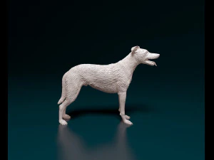Greyhound wirehired 3D Print Model