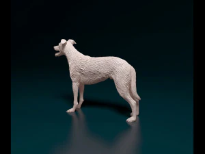 Greyhound wirehired 3D Print Model