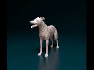 Greyhound wirehired Model do druku 3D