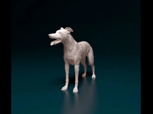 Greyhound wirehired 3D Print Model