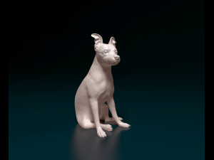 Miniature Pinscher 3D Print Model