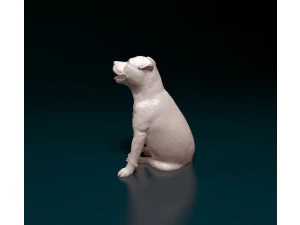 Staffordshire Bullterrier 08 3D Print Model
