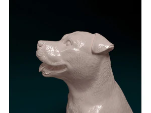 Staffordshire Bullterrier 08 3D Print Model