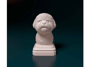 Bichon Frise bust 3D Print Model