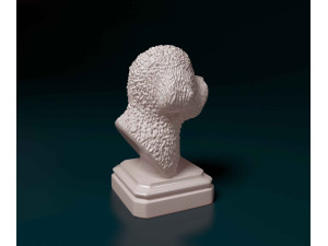 Bichon Frise bust 3D Print Model