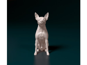Toy terrier 3D Print Model
