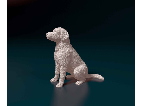 LabraDoodle 3D 打印模型
