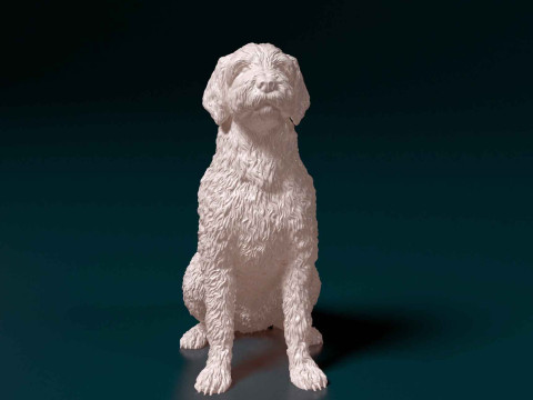 LabraDoodle Modelo de Impressão 3D