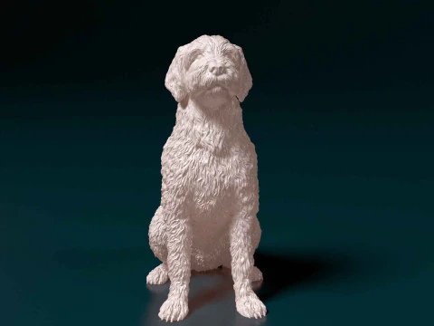LabraDoodle 3D Print Model