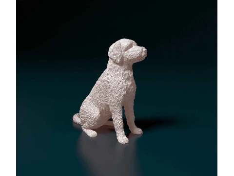 LabraDoodle 3D Print Model