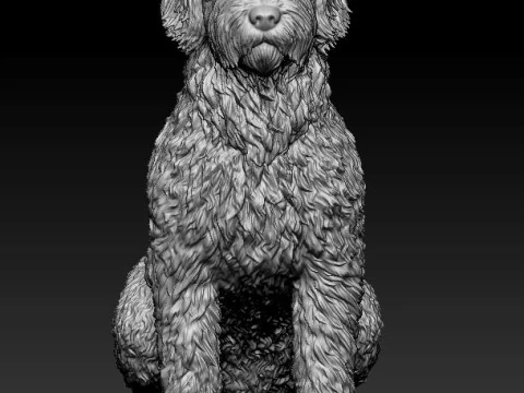 LabraDoodle 3D Print Model