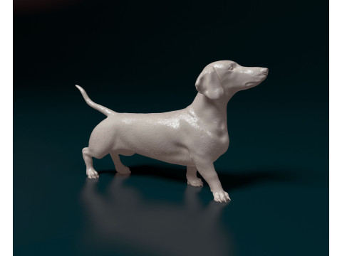 Dachshund 3D Print Model